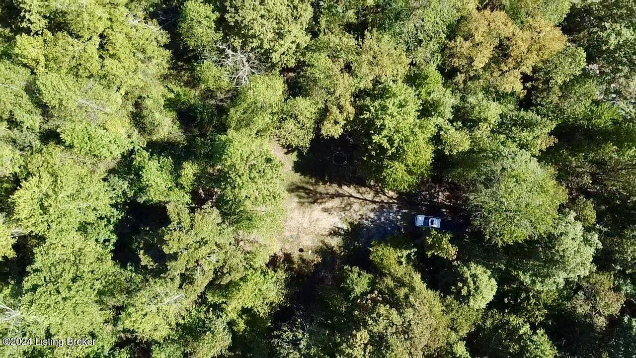 2346 Sulphur Lick Rd, New Hope, Kentucky image 20