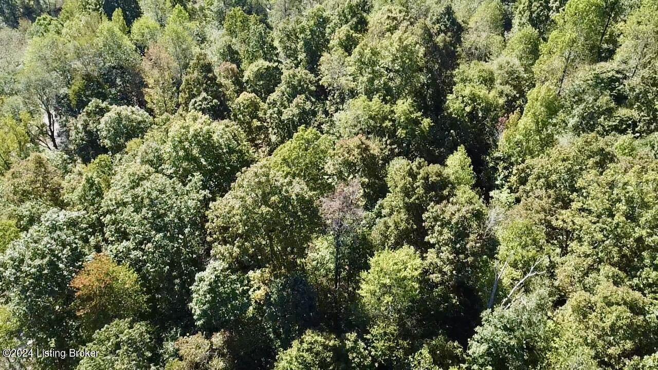 2346 Sulphur Lick Rd, New Hope, Kentucky image 32