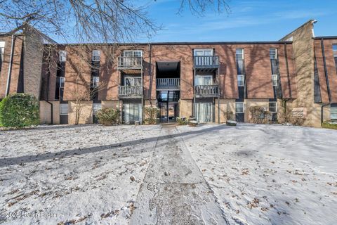 Photo of 3502 Lodge Ln #333, Louisville, KY 40218 (MLS # 1705855)