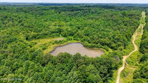 Vacant Land For Sale - Ditney Hill Rd<br/> Drakesboro, KY 42337