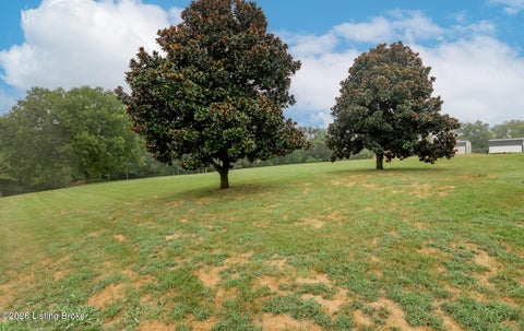 Tiny photo for 92 Venetia Dr, Willisburg, KY 40078 (MLS # 1728939)