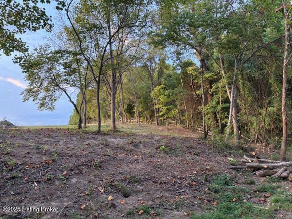 Photo of Tract 2 Stagecoach Rd, La Grange, KY 40031 (MLS # 1704947)