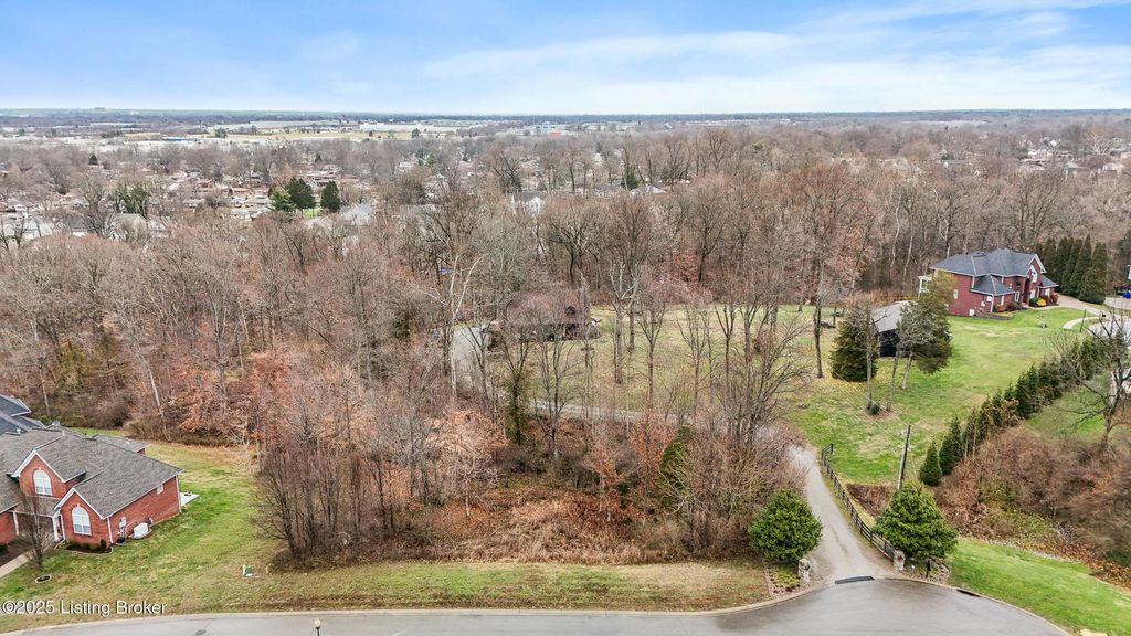 Photo of 7904 Briscoe Woods Dr, Louisville, KY 40228 (MLS # 1705258)