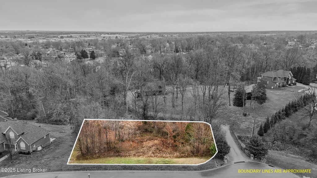 Photo of 7904 Briscoe Woods Dr, Louisville, KY 40228 (MLS # 1705258)