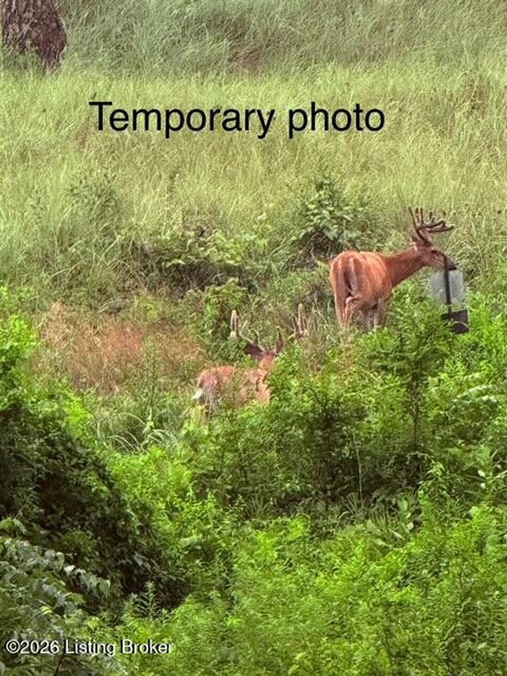 Photo of 0 Youngers Creek Rd, Elizabethtown, KY 42701 (MLS # 1707197)