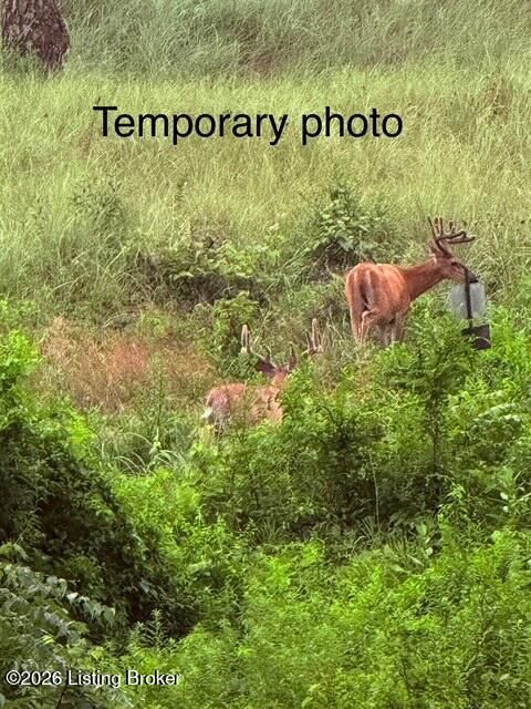 Vacant Land For Sale - Youngers Creek Rd<br/> Elizabethtown, KY 42701