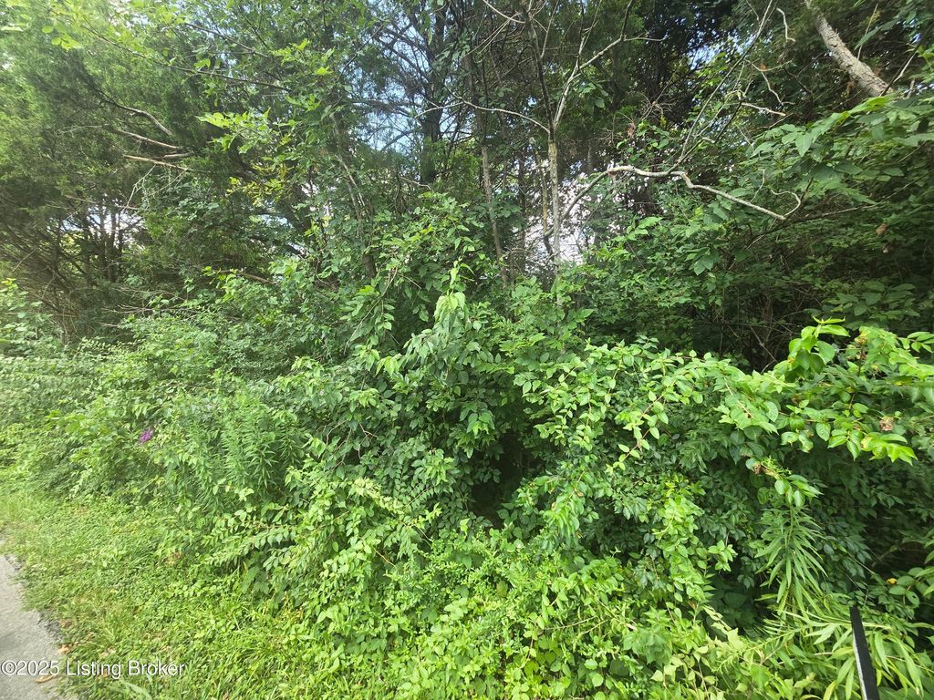 Photo of 1823 Bass Cir, La Grange, KY 40031 (MLS # 1694908)