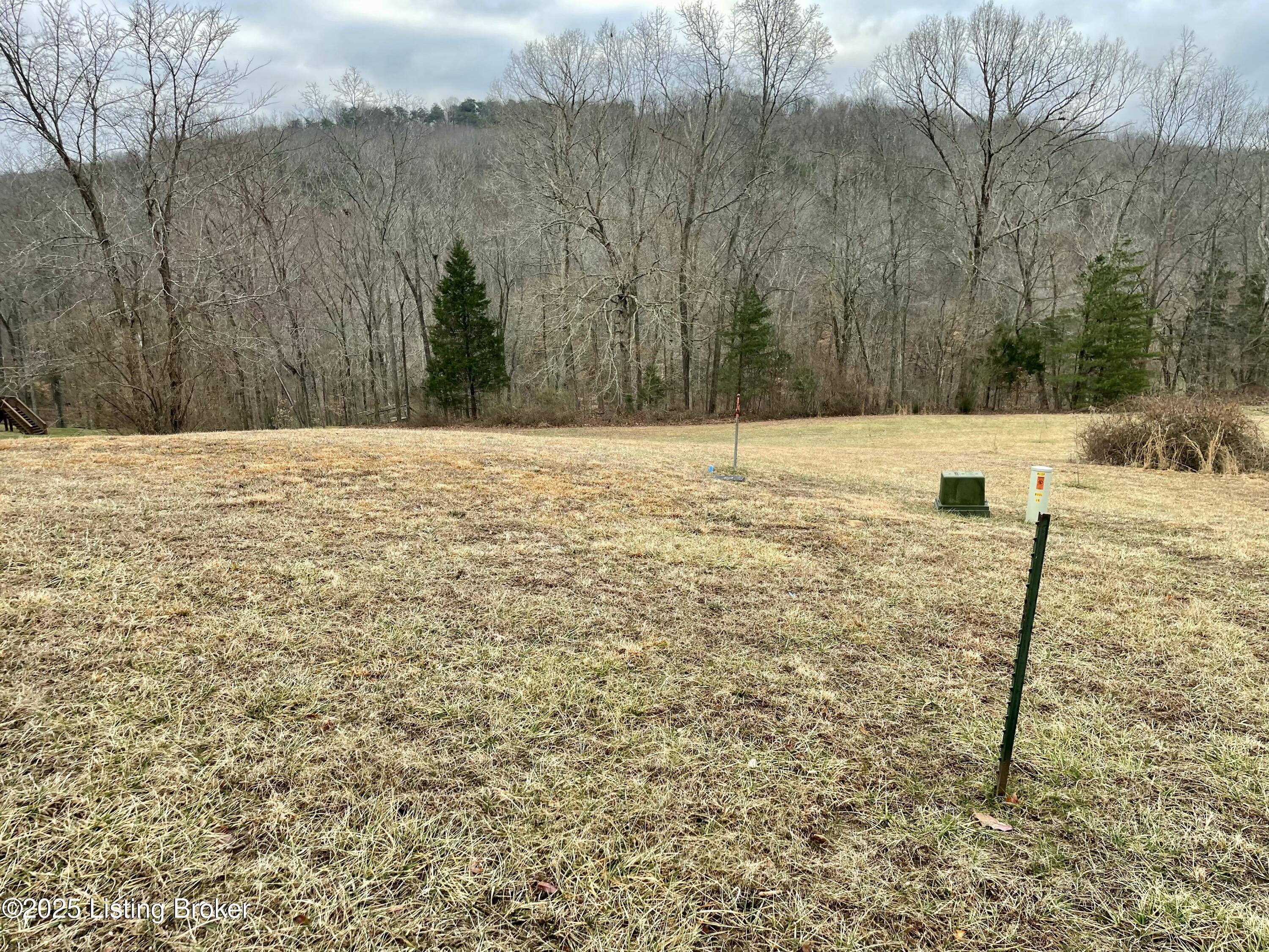 9 Serenity Cove Ln, Mammoth Cave, Kentucky image 20