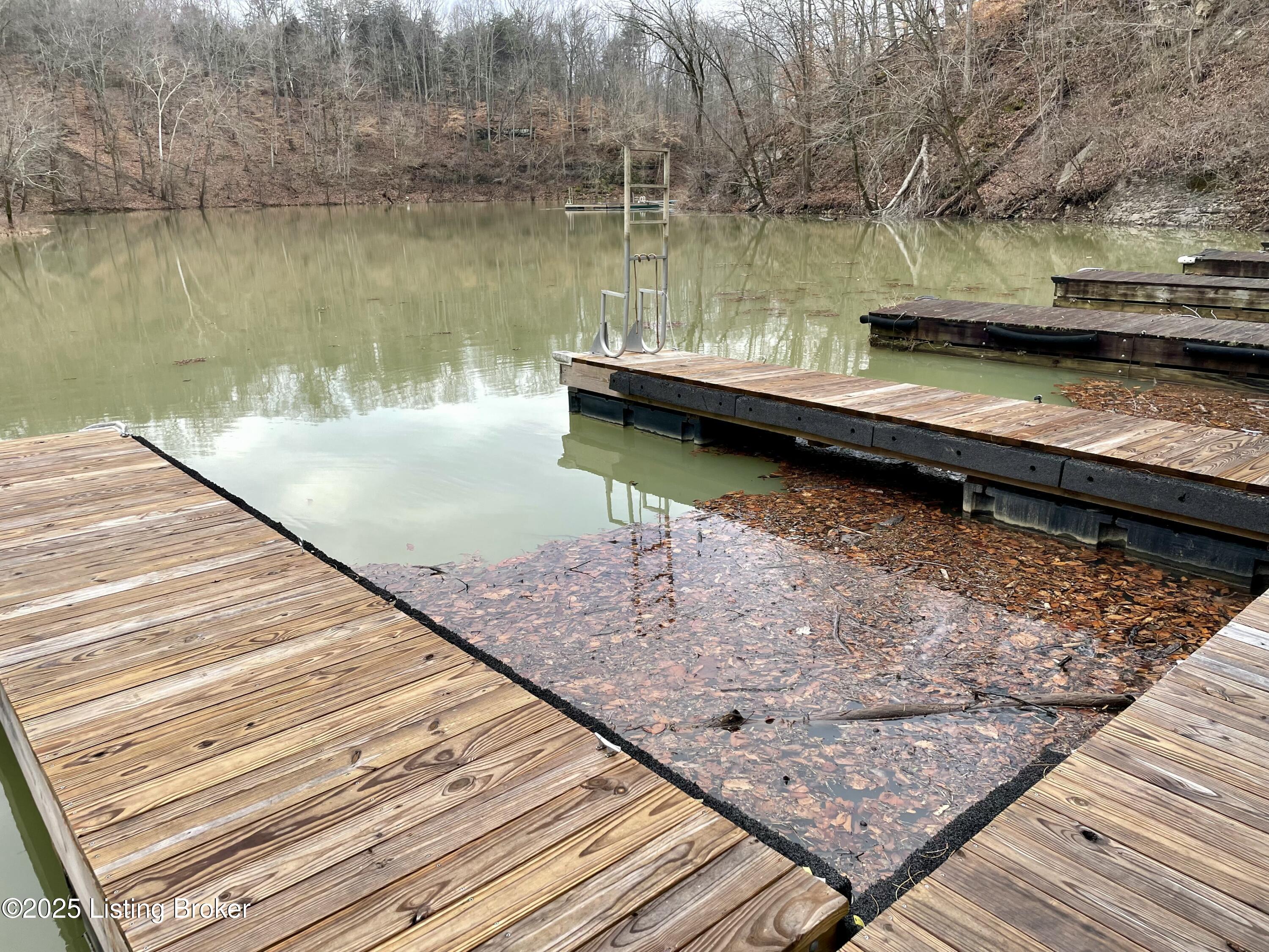 9 Serenity Cove Ln, Mammoth Cave, Kentucky image 8