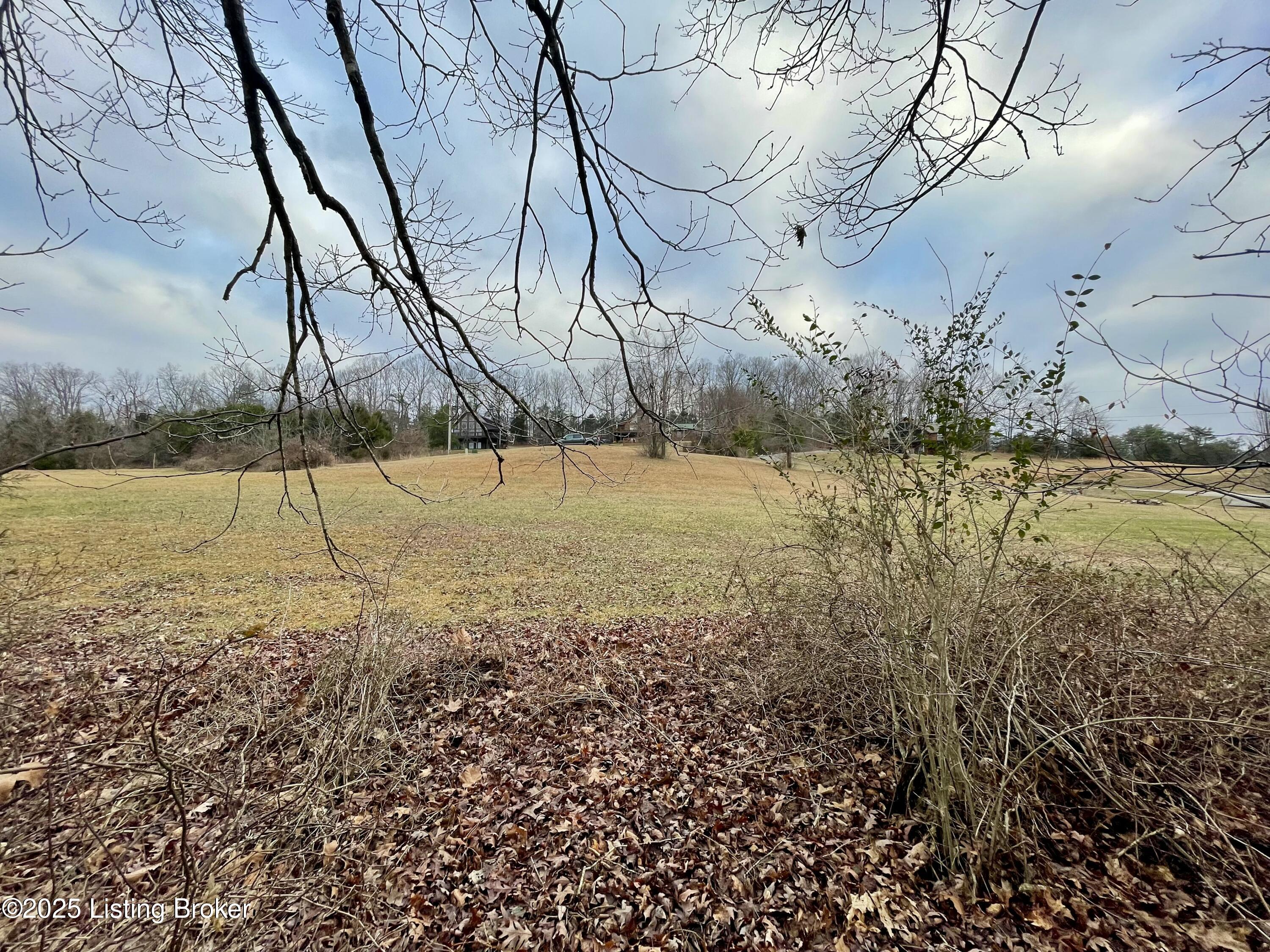 9 Serenity Cove Ln, Mammoth Cave, Kentucky image 4