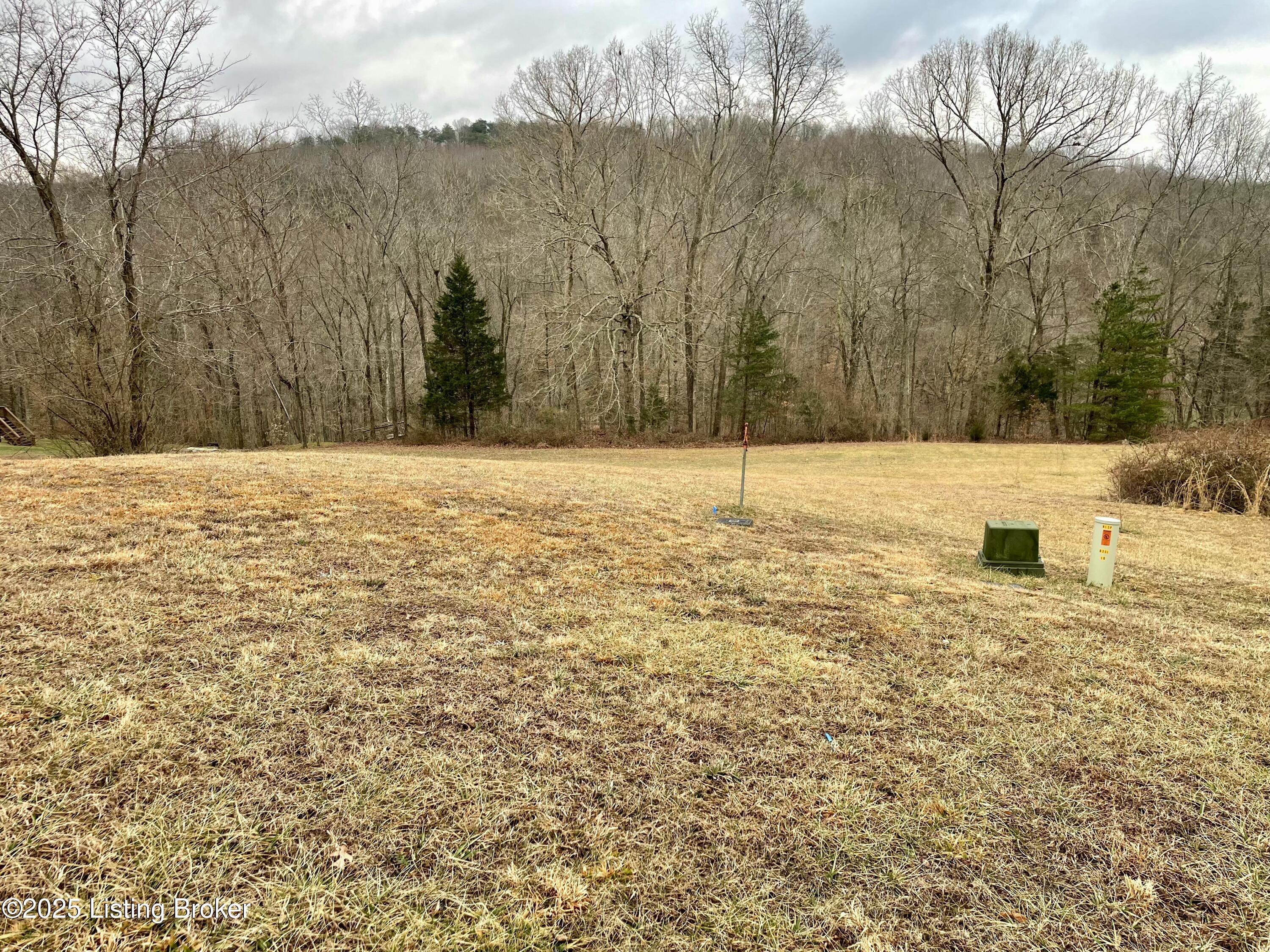 9 Serenity Cove Ln, Mammoth Cave, Kentucky image 13