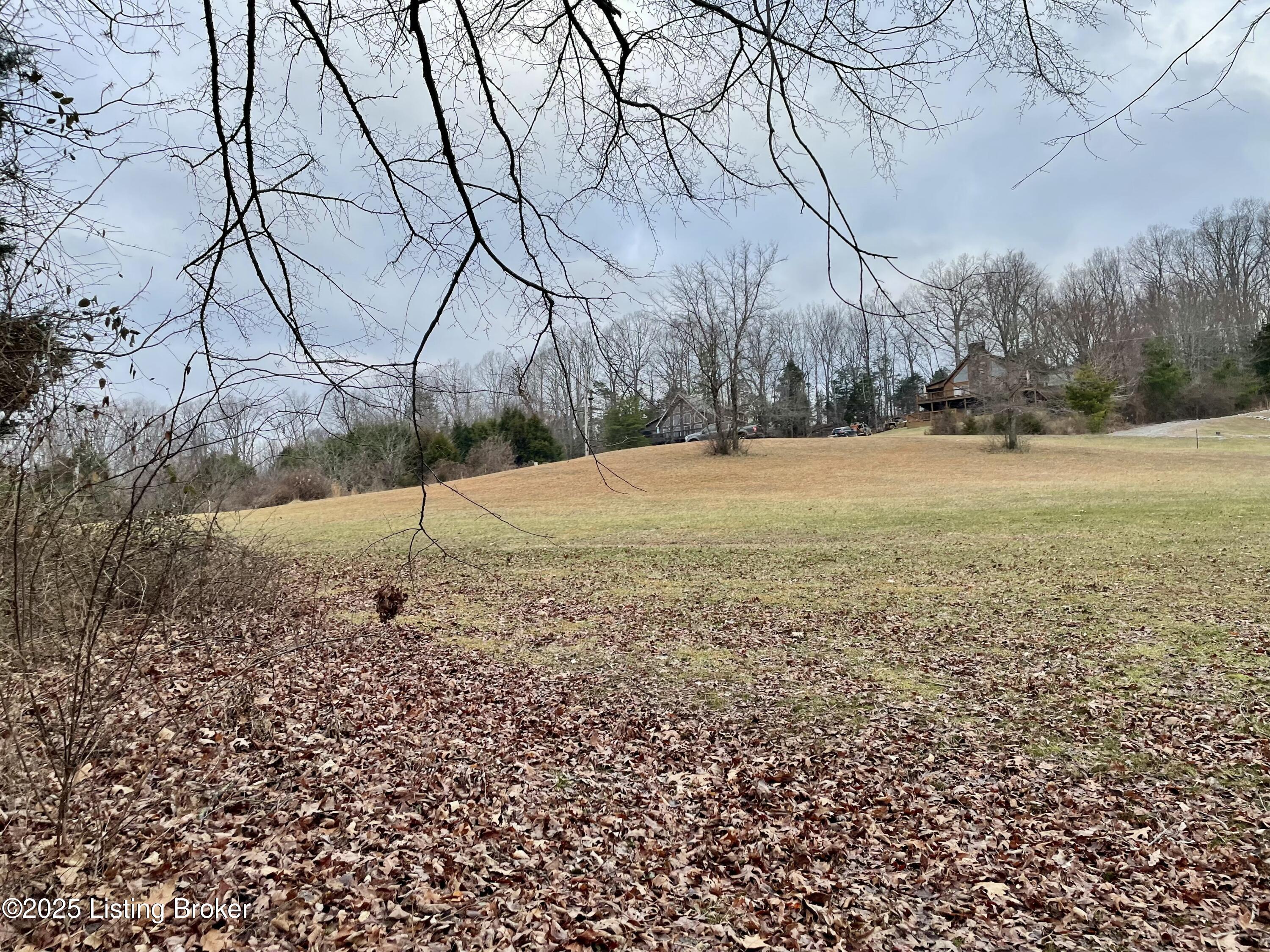 9 Serenity Cove Ln, Mammoth Cave, Kentucky image 11