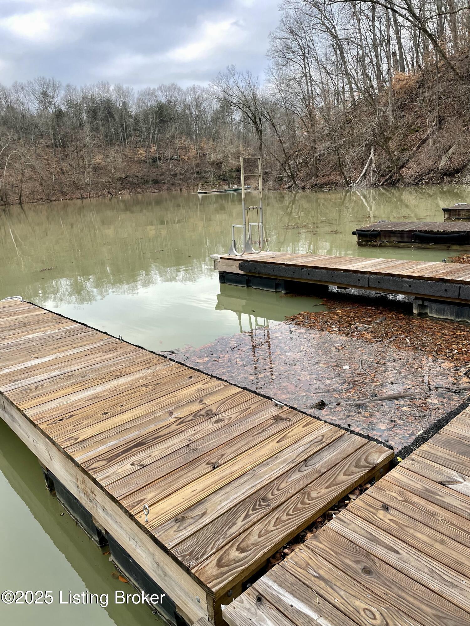 9 Serenity Cove Ln, Mammoth Cave, Kentucky image 10