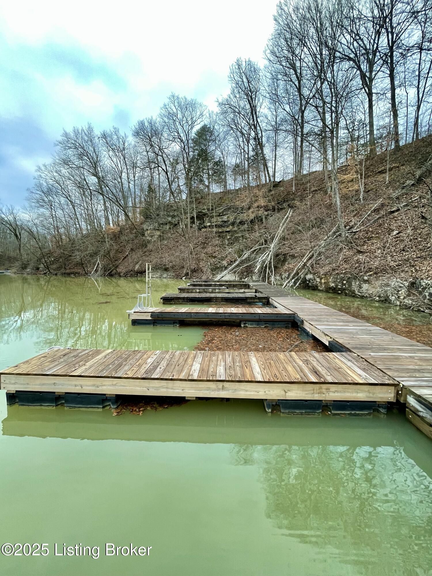 9 Serenity Cove Ln, Mammoth Cave, Kentucky image 2