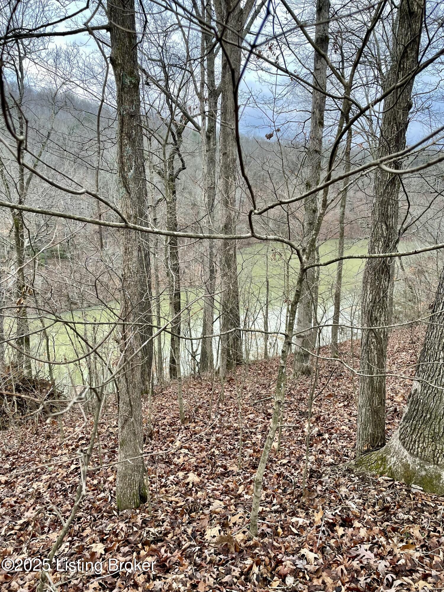 9 Serenity Cove Ln, Mammoth Cave, Kentucky image 7