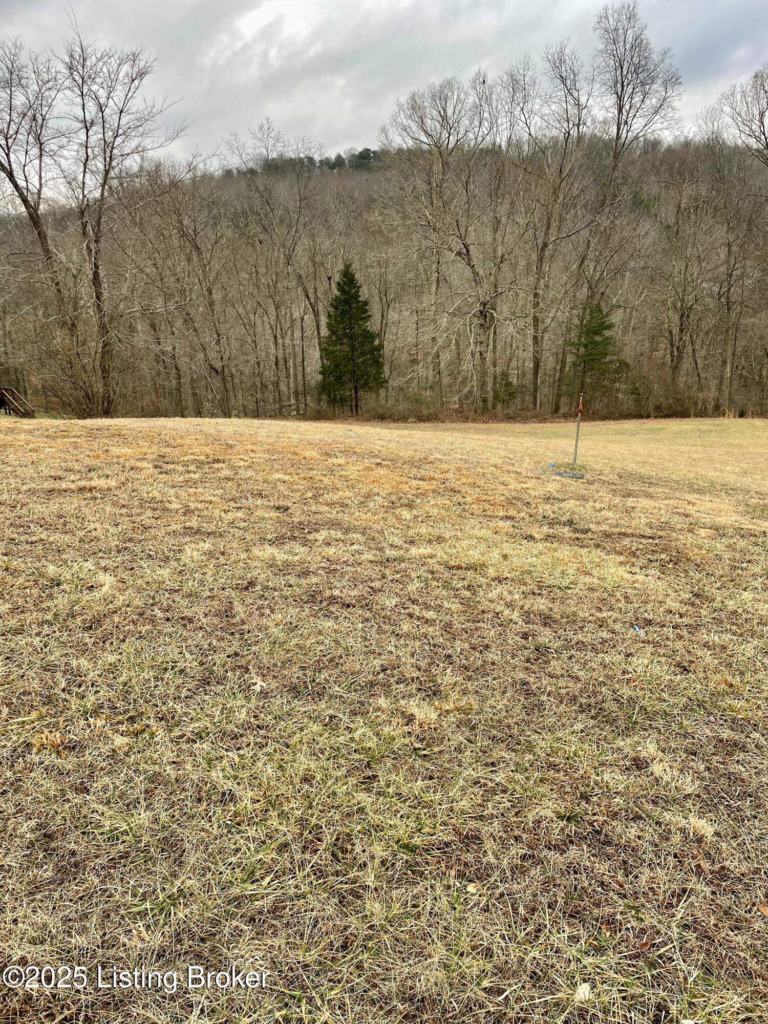 9 Serenity Cove Ln, Mammoth Cave, Kentucky image 5