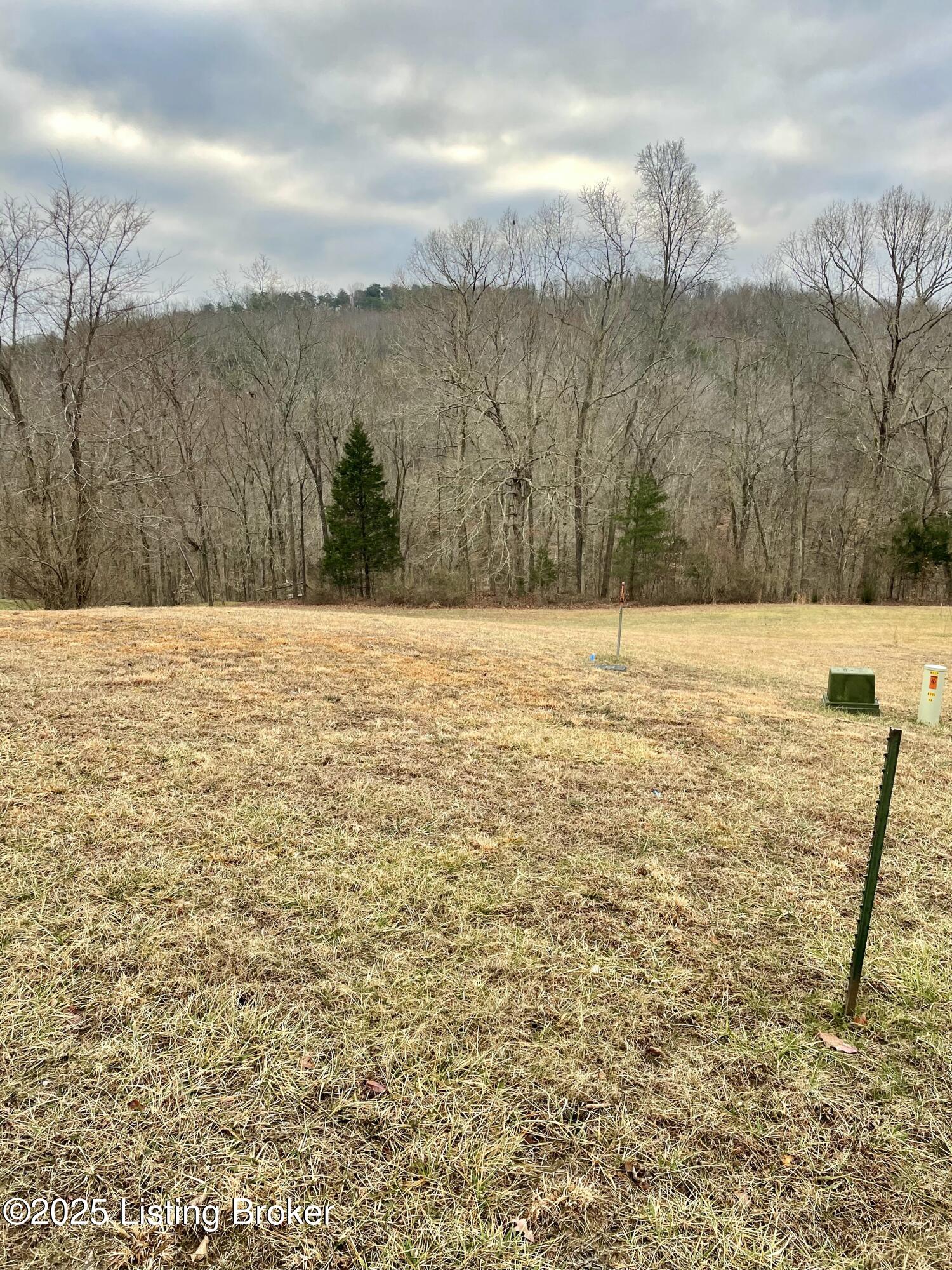 9 Serenity Cove Ln, Mammoth Cave, Kentucky image 19