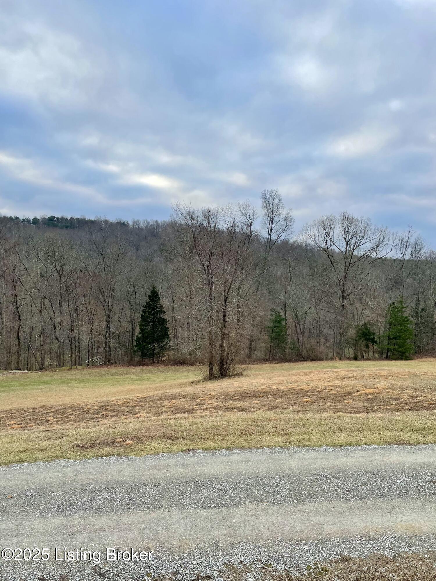 9 Serenity Cove Ln, Mammoth Cave, Kentucky image 15