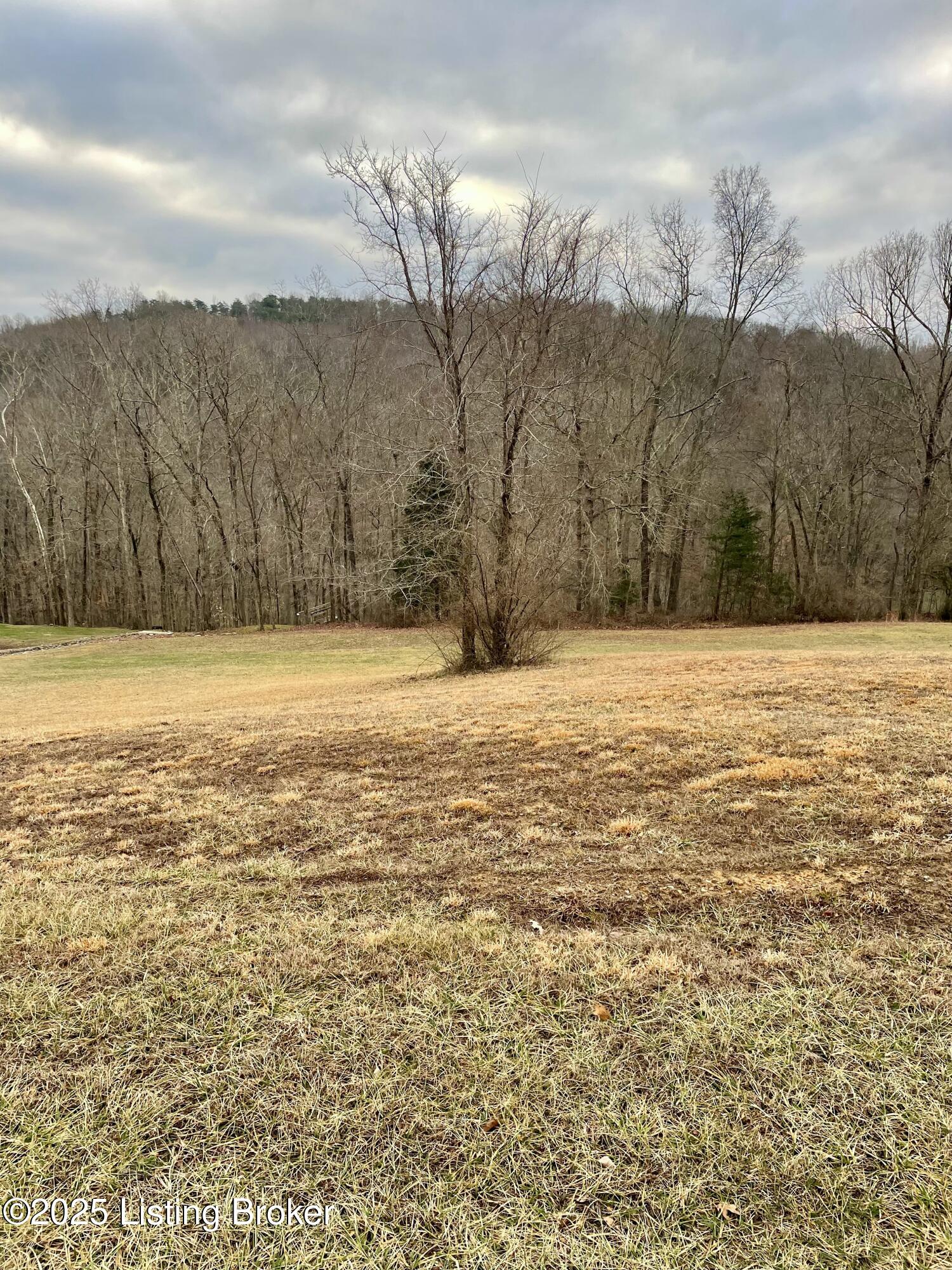 9 Serenity Cove Ln, Mammoth Cave, Kentucky image 18