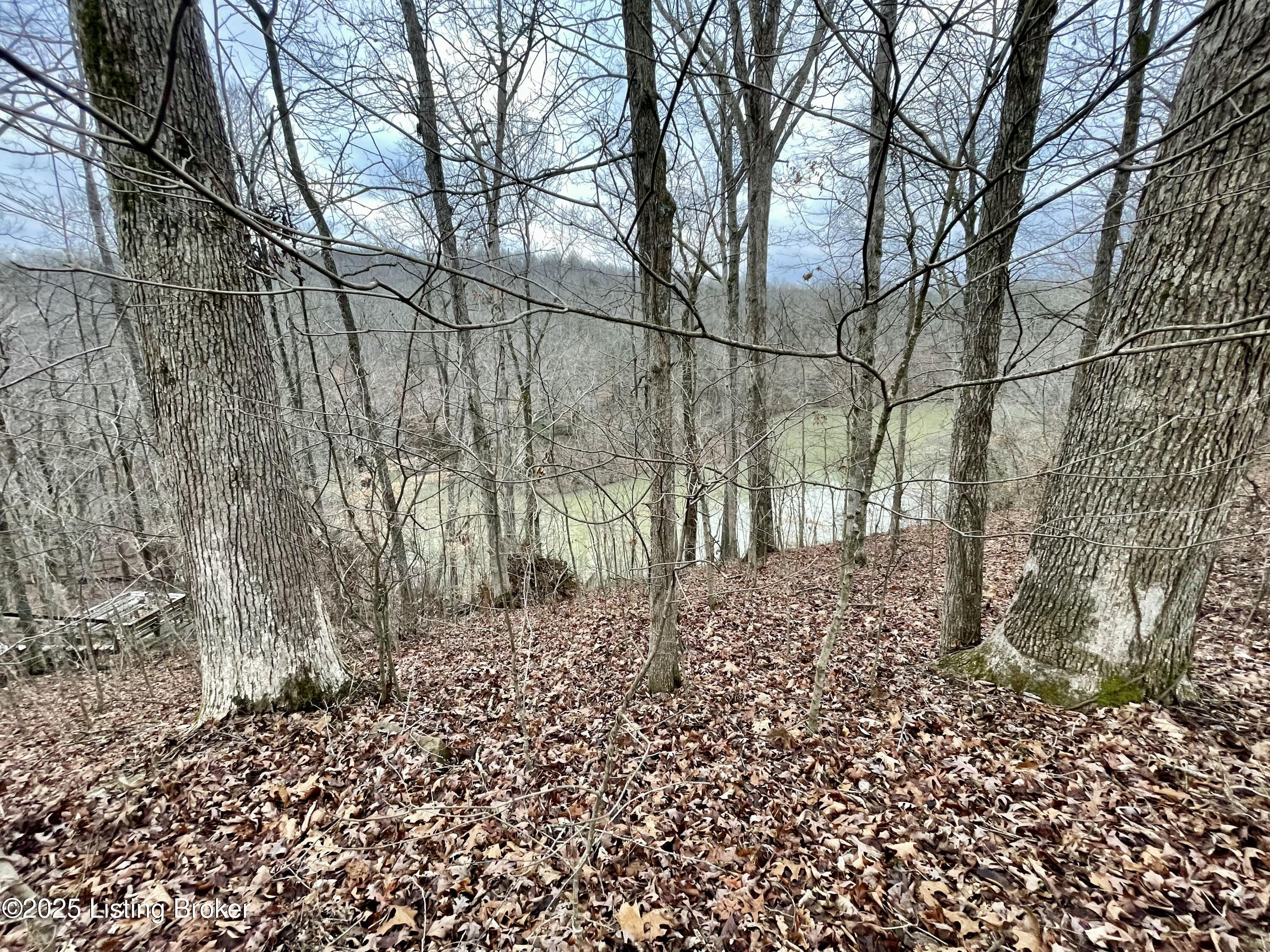 9 Serenity Cove Ln, Mammoth Cave, Kentucky image 1