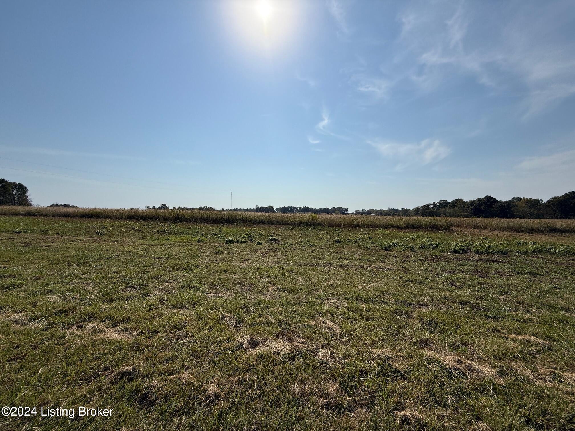 Green Ridge Spa Rd, Lewisburg, Kentucky image 4