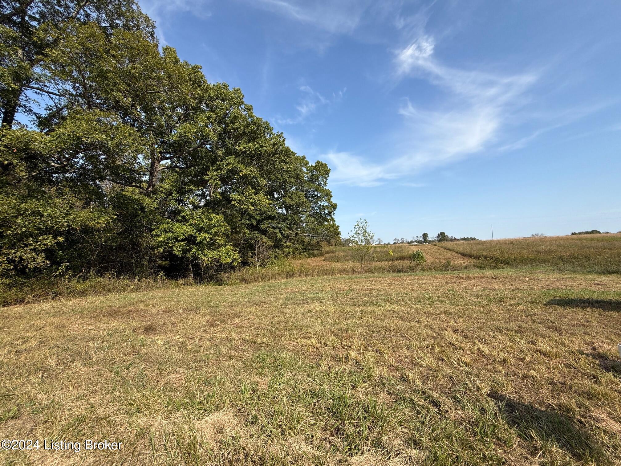 Green Ridge Spa Rd, Lewisburg, Kentucky image 3