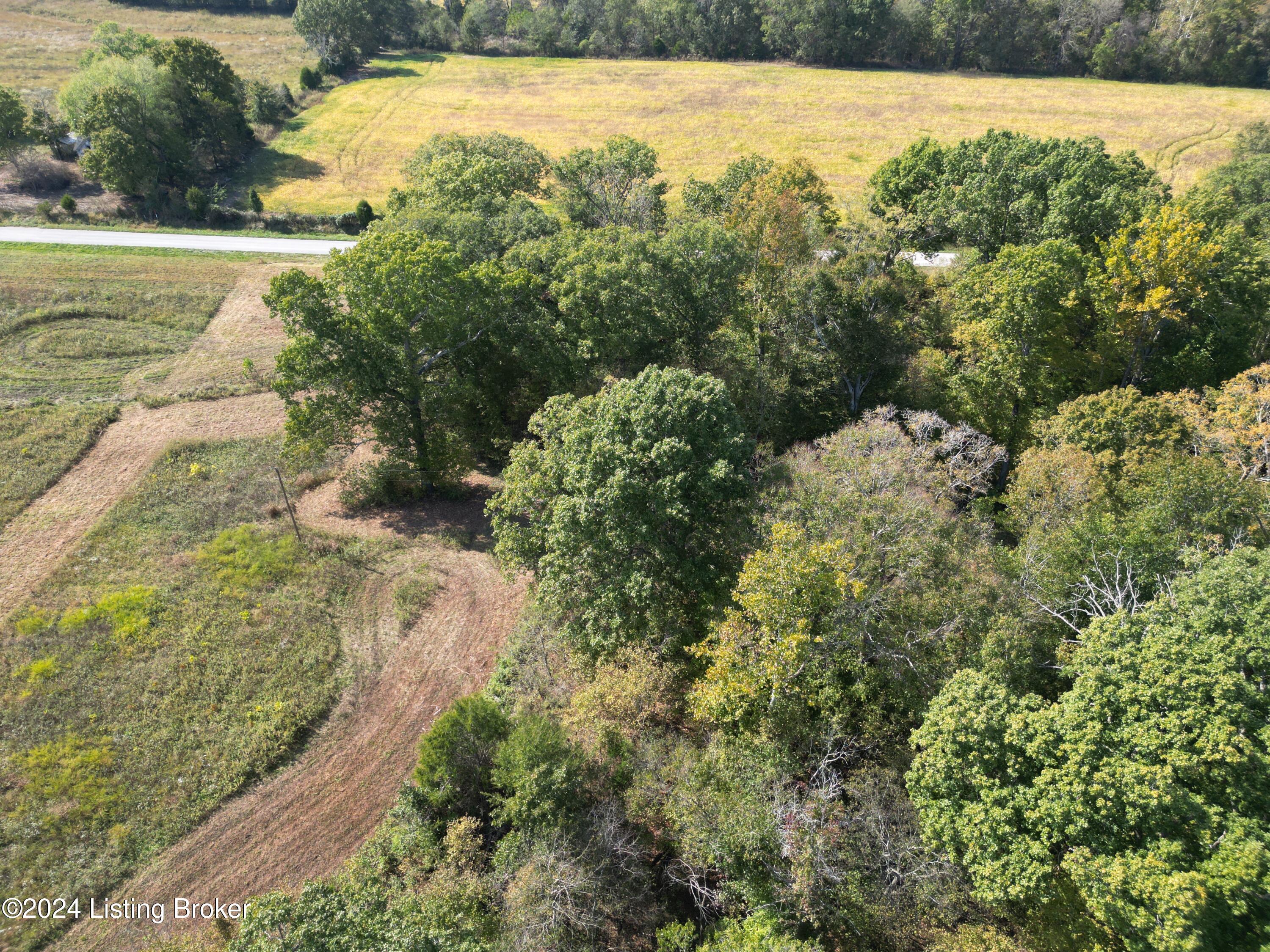 Green Ridge Spa Rd, Lewisburg, Kentucky image 6