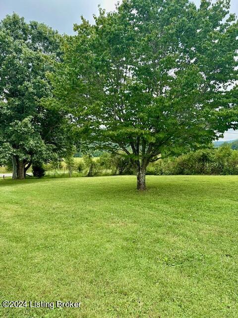 2440 S Hwy 379, Jamestown, Kentucky image 30