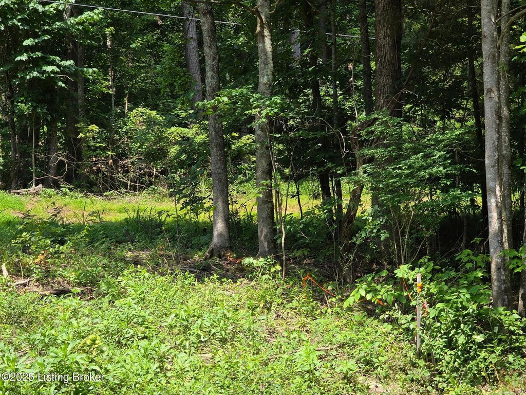 Photo of 1 Cave Creek Rd, Falls Of Rough, KY 40119 (MLS # 1707307)