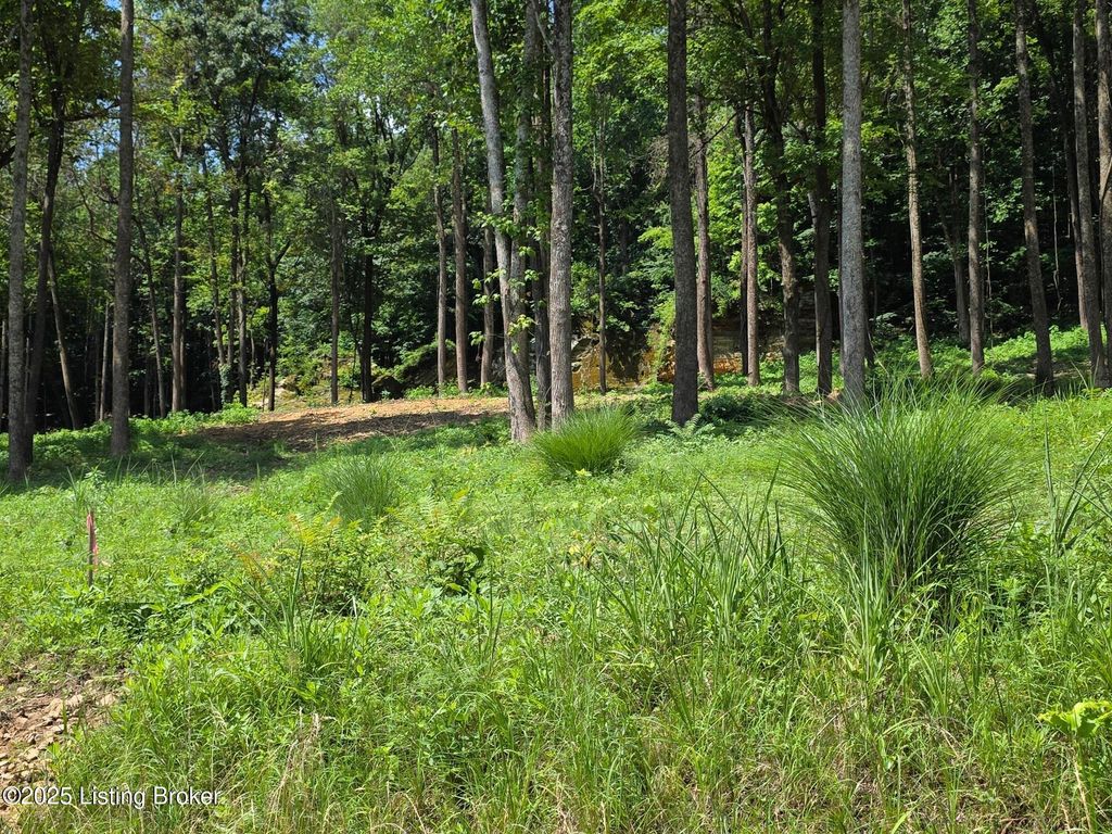 Photo of 1 Cave Creek Rd, Falls Of Rough, KY 40119 (MLS # 1707307)