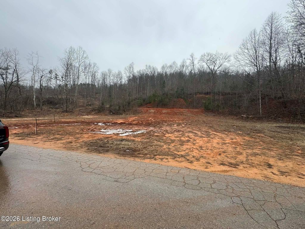 Photo of 0 Concord Church Rd, Munfordville, KY 42765 (MLS # 1707594)