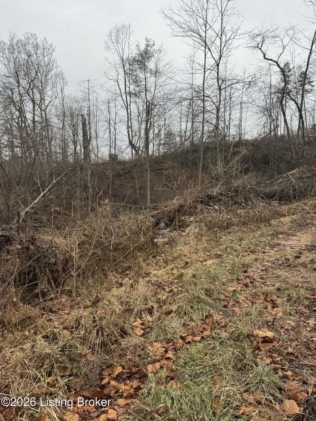 Photo of 0 Concord Church Rd, Munfordville, KY 42765 (MLS # 1707594)