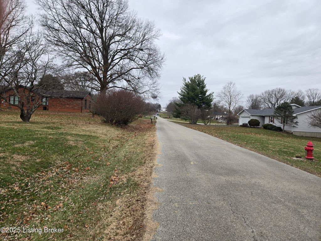 Photo of 206 Fairview Dr, Simpsonville, KY 40067 (MLS # 1705946)
