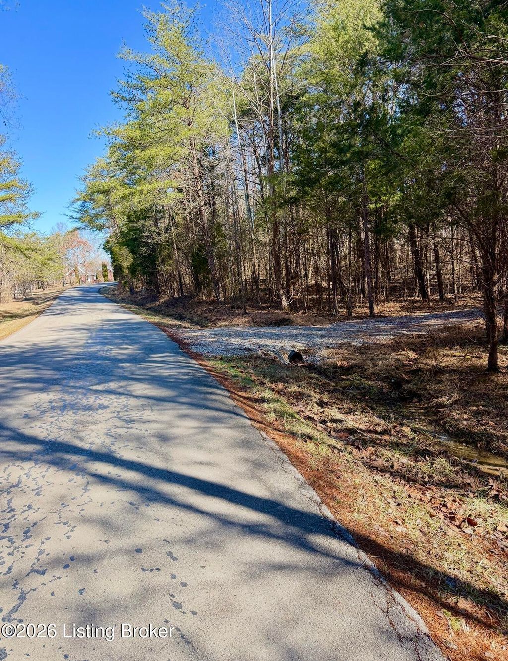 Photo of 405 Robbin Ln, Cub Run, KY 42729 (MLS # 1709047)