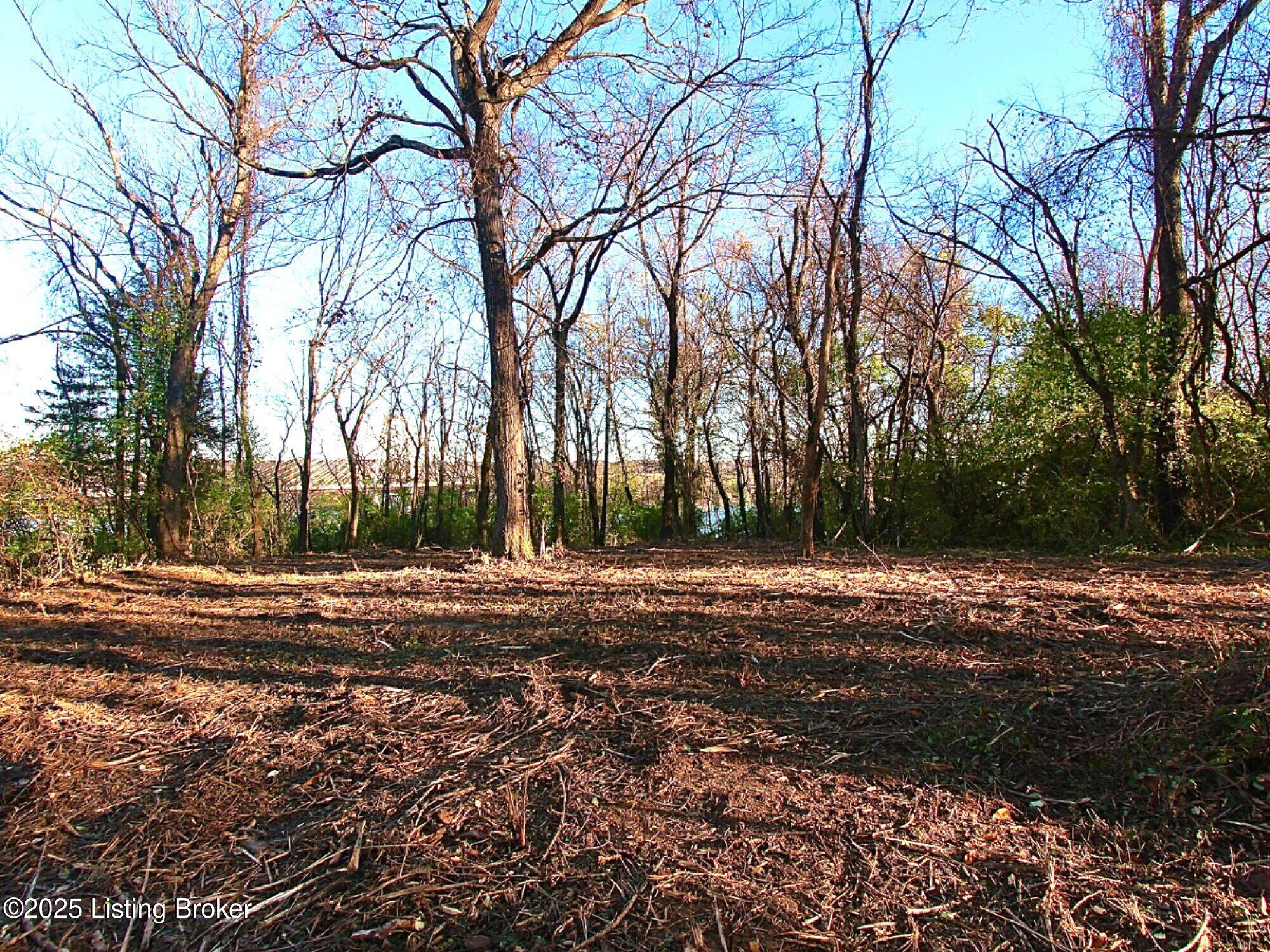 Upper River Rd., Jeffersonville, Indiana image 11