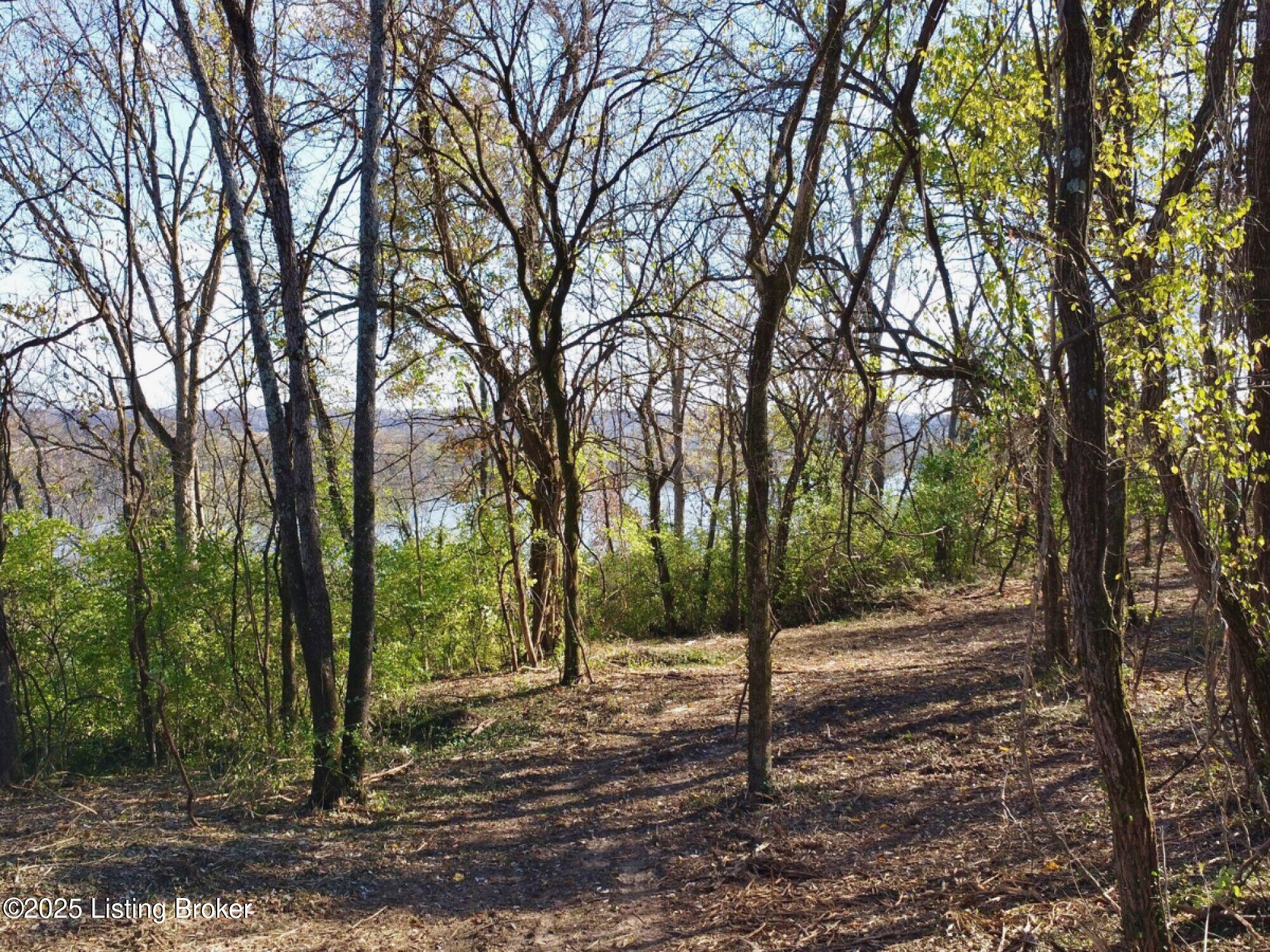 Upper River Rd., Jeffersonville, Indiana image 46