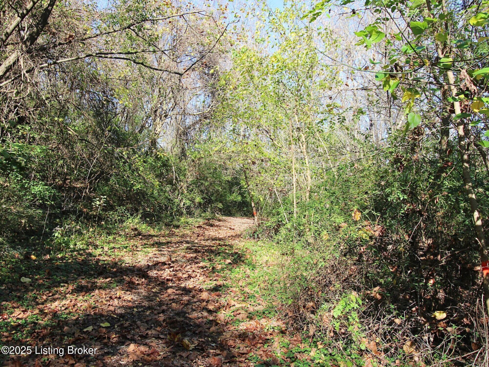 Upper River Rd., Jeffersonville, Indiana image 20