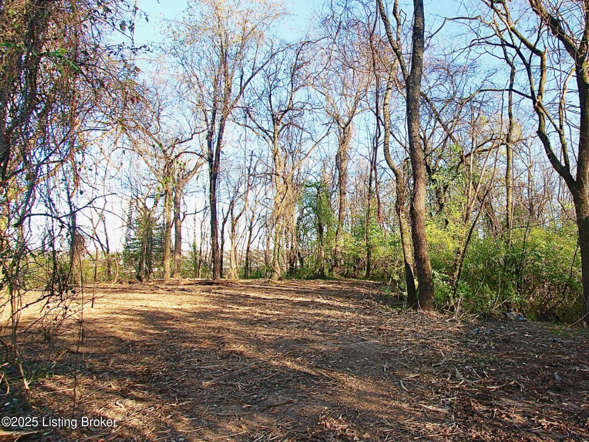 Upper River Rd., Jeffersonville, Indiana image 9