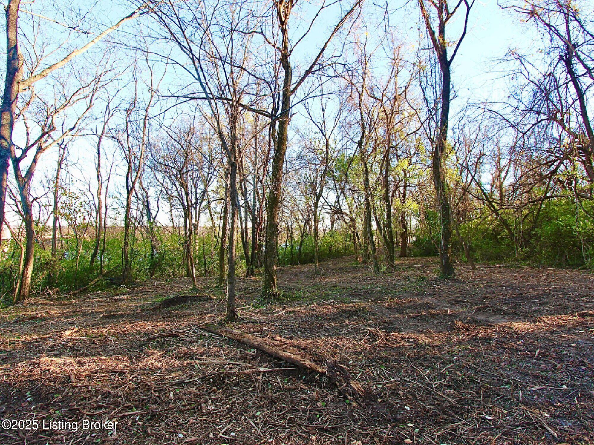 Upper River Rd., Jeffersonville, Indiana image 12