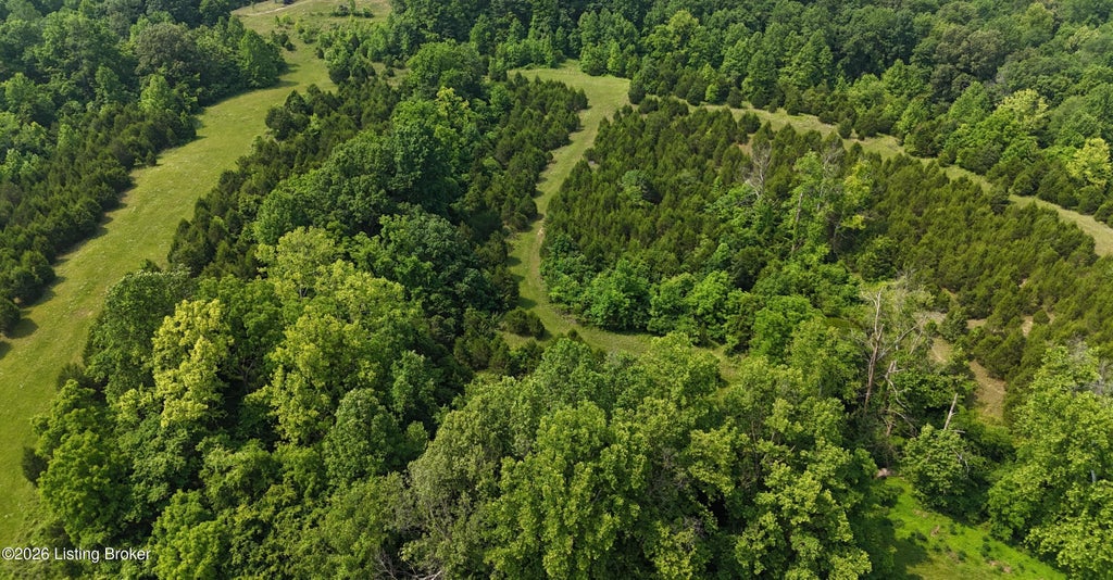 Photo of 0 Locust Grove Rd, Bonnieville, KY 42713 (MLS # 1723093)