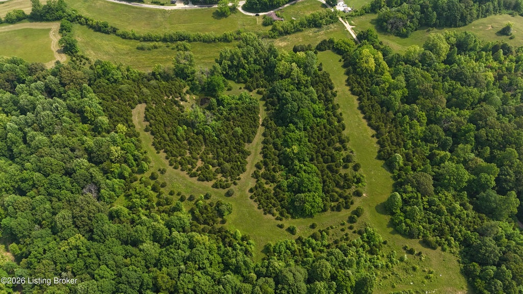 Photo of 0 Locust Grove Rd, Bonnieville, KY 42713 (MLS # 1723093)