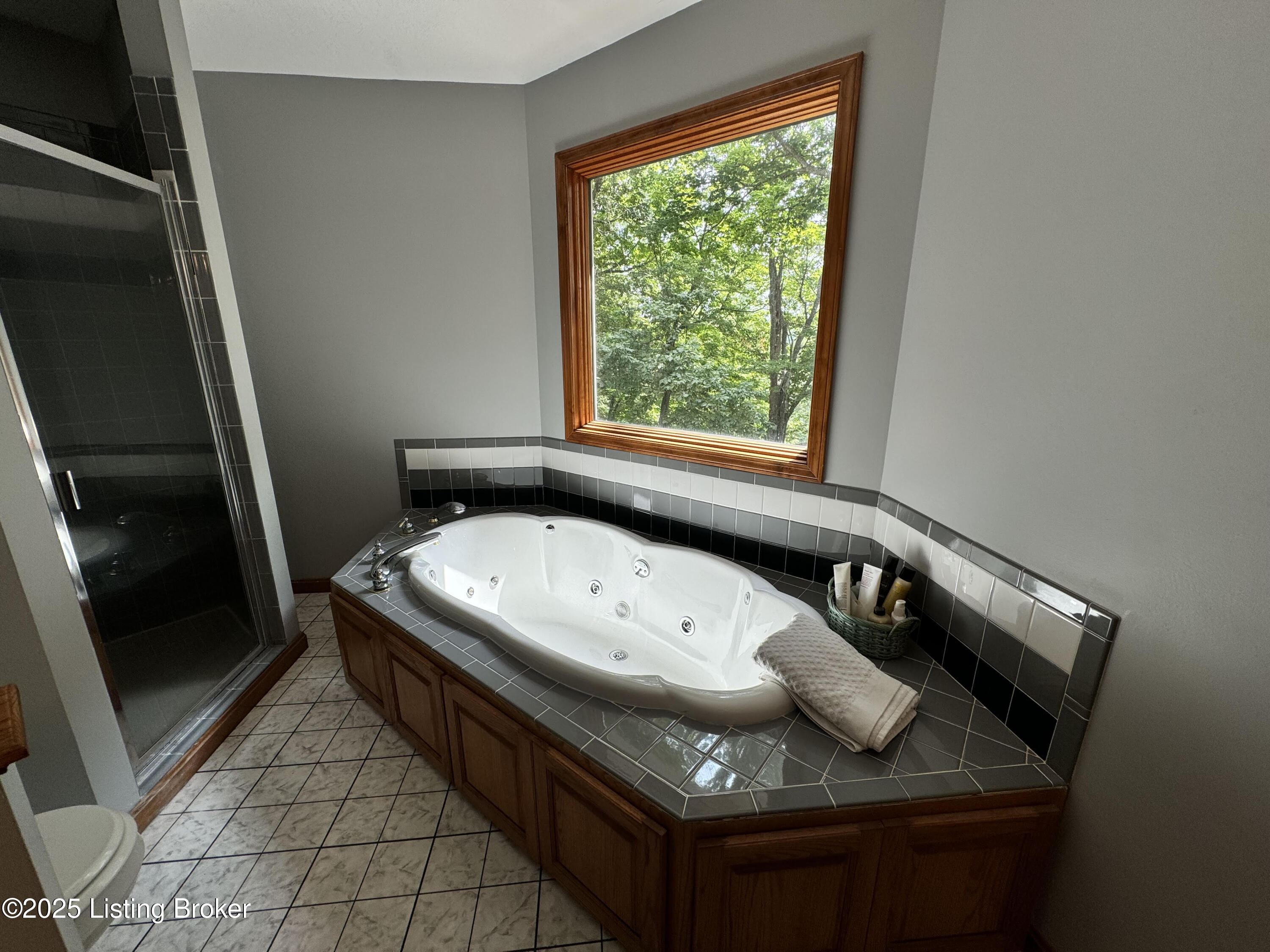 601 Indian Ridge Rd, Falls Of Rough, Kentucky image 47