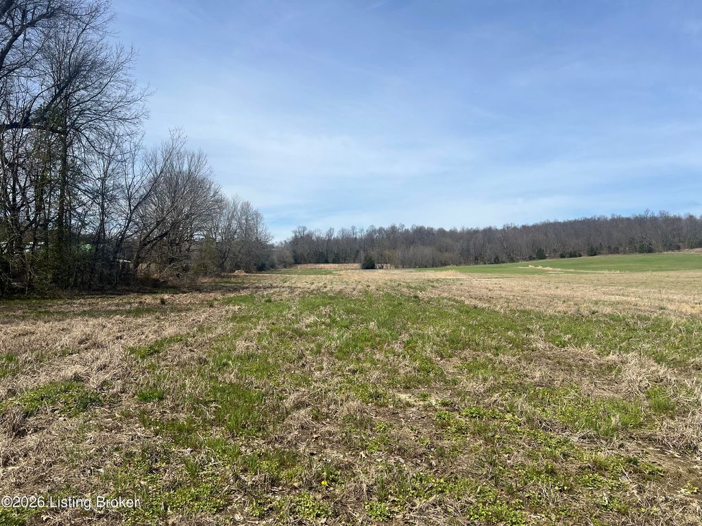 Photo of 3090 Shrewsbury Rd, Leitchfield, KY 42754 (MLS # 1712358)