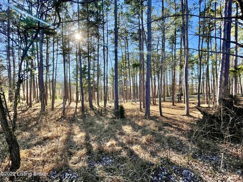 Vacant Land For Sale - Marina Fountain Ln<br/> Grayson County, Falls Of Rough, KY 40119