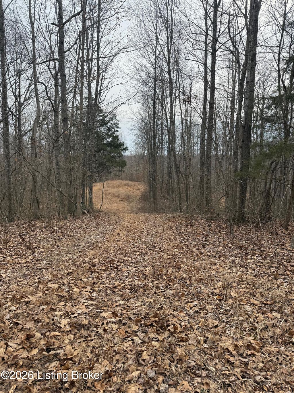 Photo of 0 Thompson Hill Rd, Hodgenville, KY 42748 (MLS # 1709901)