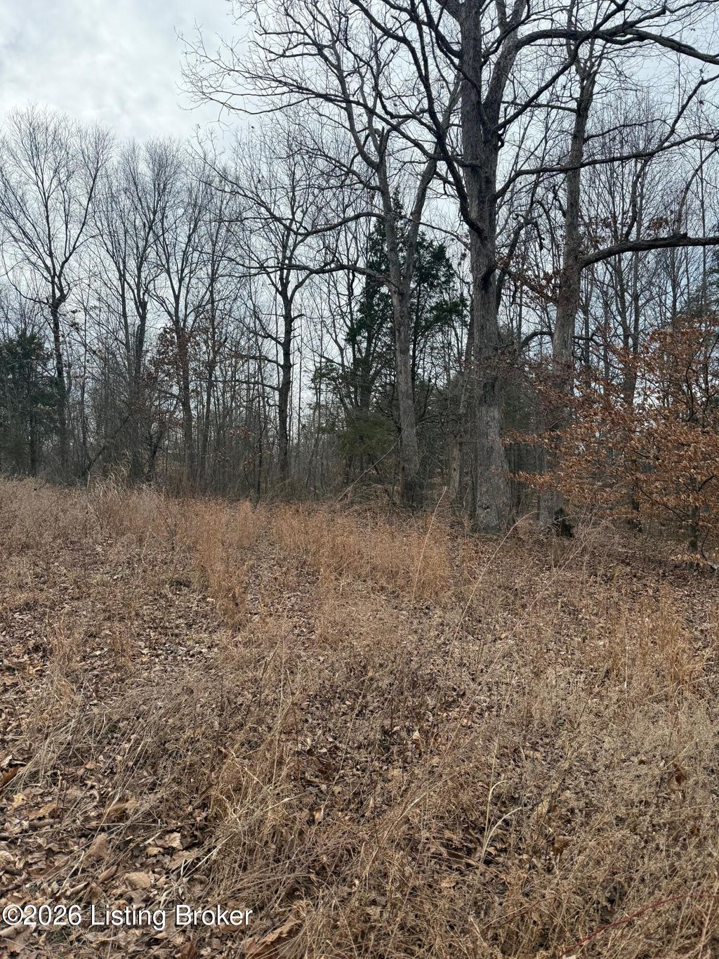 Photo of 0 Thompson Hill Rd, Hodgenville, KY 42748 (MLS # 1709901)