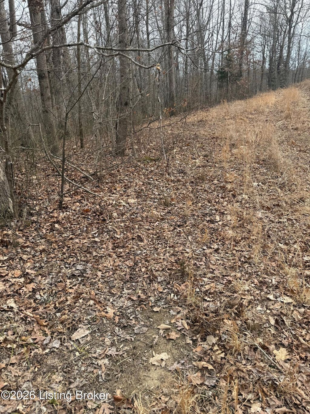 Photo of 0 Thompson Hill Rd, Hodgenville, KY 42748 (MLS # 1709901)