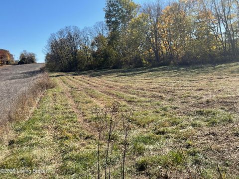 Homes For Sale - LOT #4 Hwy 60<br/> Guston, KY 40142