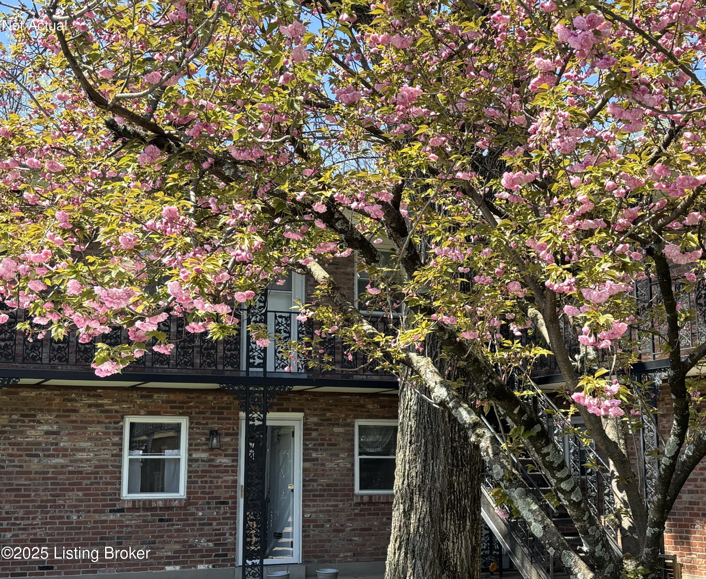 198 Crescent Ave #9, Louisville, Pennsylvania image 1