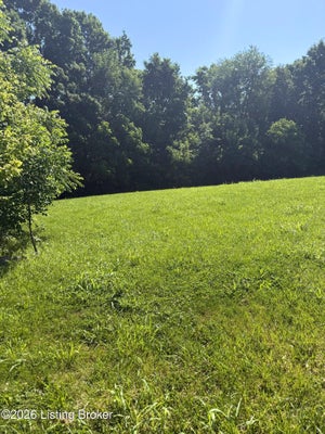 28 CHELSEY PARK DR, FISHERVILLE, KY 40023 - Image fc487566cdc0ef71a404e6f69a5fdcd5/30095264